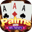 rummy sequence rules icon